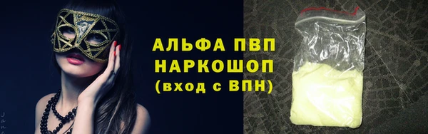 дмт Белокуриха